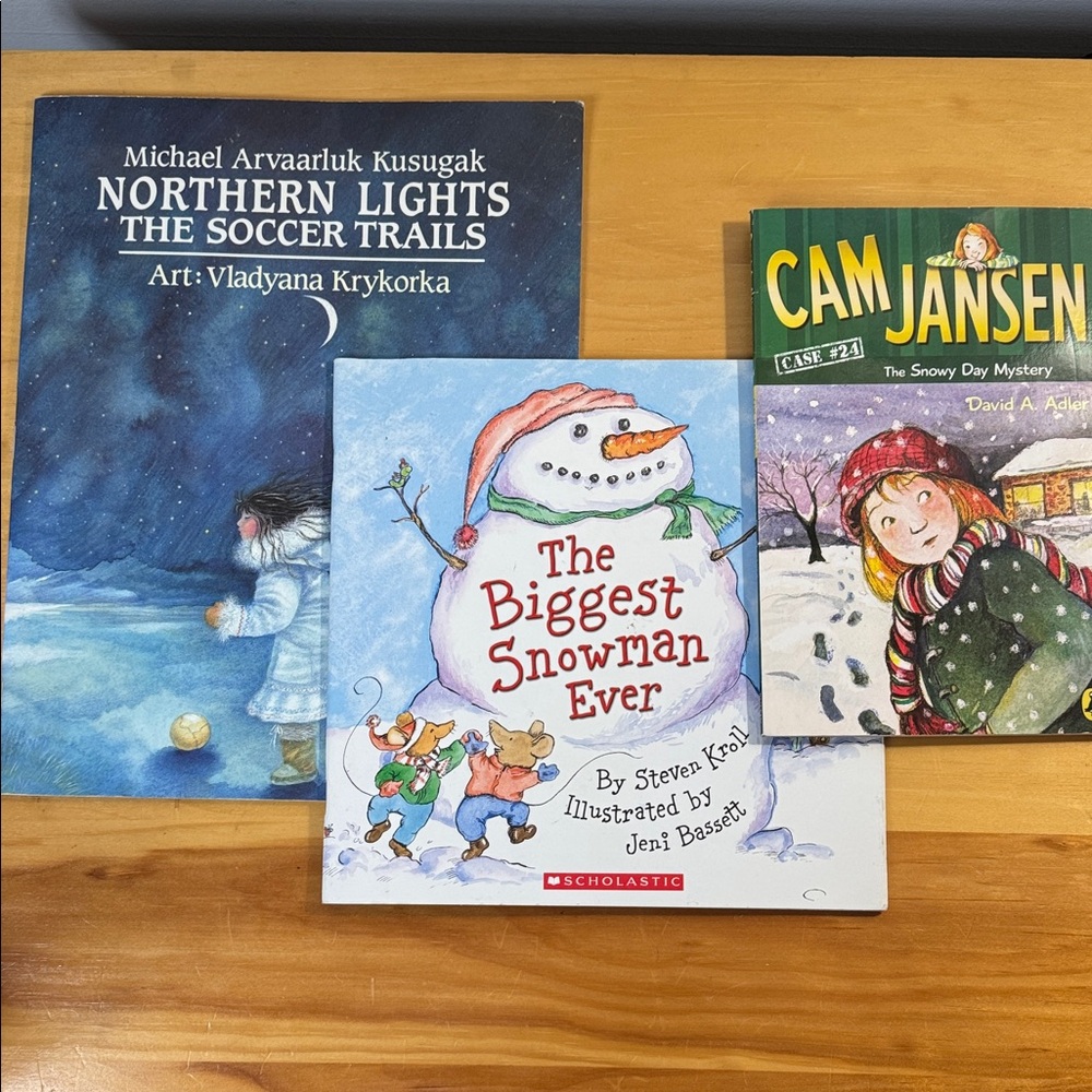 🌈2/$8  3-Book Bundle Winter-Themed